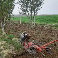 انجام کلیه امور باغبانی تیلر زدن وخرید برش چوب