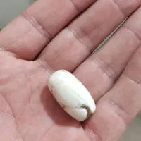 مهره خ،|کلکسیون اشیاء عتیقه|ایلام, |دیوار