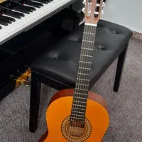 گیتار پارسی M2