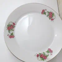 پلو خوری گل سرخی پیش دستی دیوارکوب|ظروف سرو و پذیرایی|تهران, زرکش|دیوار