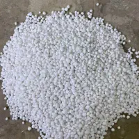 خرید فروش  گندم بذری و ذرت کود شیمیایی سوپر فسفات|گل و گیاه طبیعی|اهواز, کمپلو شمالی|دیوار