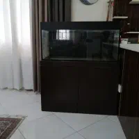 آکواریوم ماهی