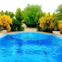 سرایداری