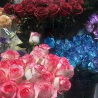 سرویس مدارسو شرکت ها