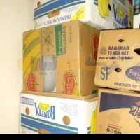 کارتن موزی مناسب اسباب کشی