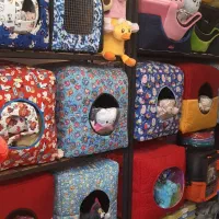 پت شاپ ملزومات حیوانات خانگی|لوازم جانبی حیوانات|اراک, |دیوار