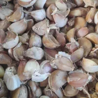 سیرمحلی پاک شده ارزان تر از همجا