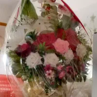 گل خواستگاری