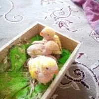 جوجه برزیلی