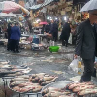 فروش مغازه در بازار ماهی فروشان