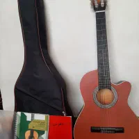 گیتاردیاموند