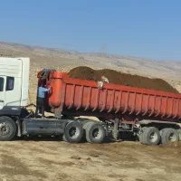کود گاو گوسفندی