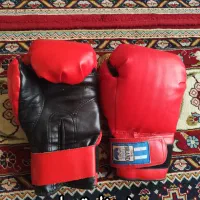 دستکش بکس  و لوازم ورزشی|تجهیزات ورزشی|یزد, |دیوار