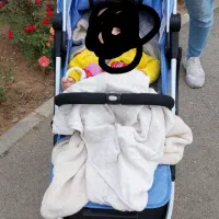 کالسکه وارداتی