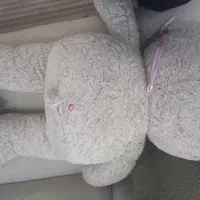 عروسک خرس زیبا|اسباب‌‌بازی|گرگان, |دیوار