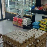 یخچال آکواریومی