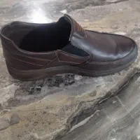 کفش مجلسی وشیک|کیف، کفش، کمربند|خرمدره, |دیوار