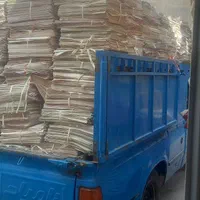 روزنامه باطلا