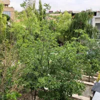 ویلاباغ۶۵۰زمین۲۵۰بنافرصت طلایی برای خرید*مهراباد*|فروش خانه و ویلا|رودهن, |دیوار