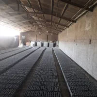 کارگر ساده در بلوک زنی