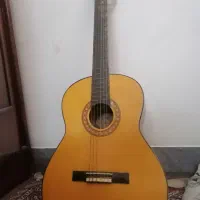 گیتار ساندرا g225