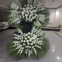 تاج گل|گل و گیاه طبیعی|تهران, باغ خزانه|دیوار