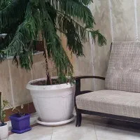 نظافتچی هتل آپارتمان در سرعین