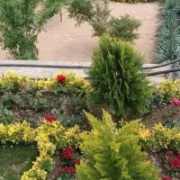 خدمات باغبانی گل کاری بیل زنی صفر تا صد