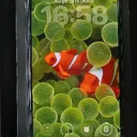 ایفون 11 پرو مکس گم شده در نایسر