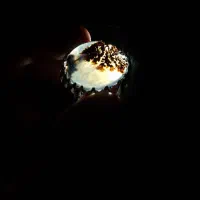 انگوشتر شجر قاعان اصل|جواهرات|رامشیر, |دیوار