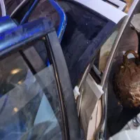 درب کاپوت صن سینی فن سپر بایسال ضمانت رنگ(زاهدپور)|قطعات یدکی و لوازم جانبی|ایذه, |دیوار