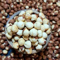 گل افتاب شورکاری مغزیجات|خوردنی و آشامیدنی|اصفهان, بهارانچی|دیوار