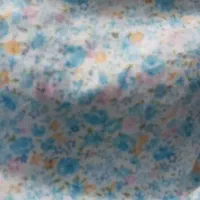 رو صندلی ماشین مینی بوس