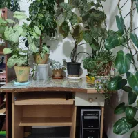 میز کامپیوتر