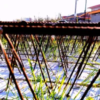 کارگر بلوک زنی|استخدام معماری، عمران و ساختمانی|رشت, حومه رشت|دیوار