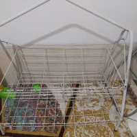 گهواره آهنی دو طبقه