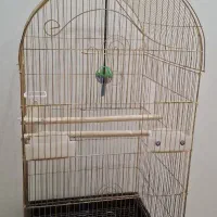 قفس پرنده طوطی سانان