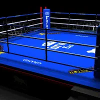 آموزش هنرهای رزمی/ووشو/دفاع شخصی