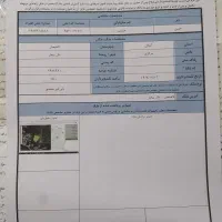 ۸۰۰ متر زمین زراعی|فروش زمین و ملک کلنگی|لاهیجان, خالو باغ|دیوار