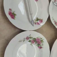 ظروف گلسرخی قدیمی|کلکسیون اشیاء عتیقه|محمودآباد, |دیوار