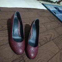 کفش مجلسی سالم سالم|کیف، کفش، کمربند|ملایر, |دیوار