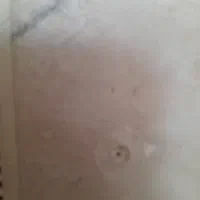 خوشخواب نوجوان طبی