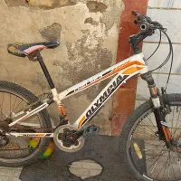 دوچرخه