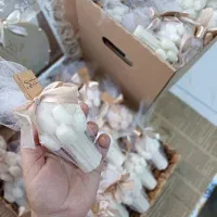 استند هدیه گیفت گل|مجسمه، تندیس، ماکت|سبزوار, توحیدشهر|دیوار