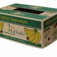 کارتون موزی