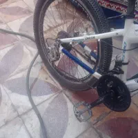 دوچرخه ژردن|دوچرخه، اسکیت، اسکوتر|شیراز, کوشک میدان|دیوار