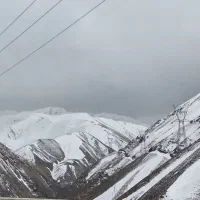 نیاز به مشارکت کننده