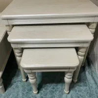 میز جلو مبلی|مبلمان خانگی و میز عسلی|رشت, کاکتوس|دیوار