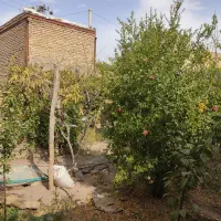 مغازه و باغ در منظر|فروش مغازه و غرفه|تربتحیدریه, منظر|دیوار