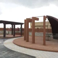 چوب پلاست،وود پلاست